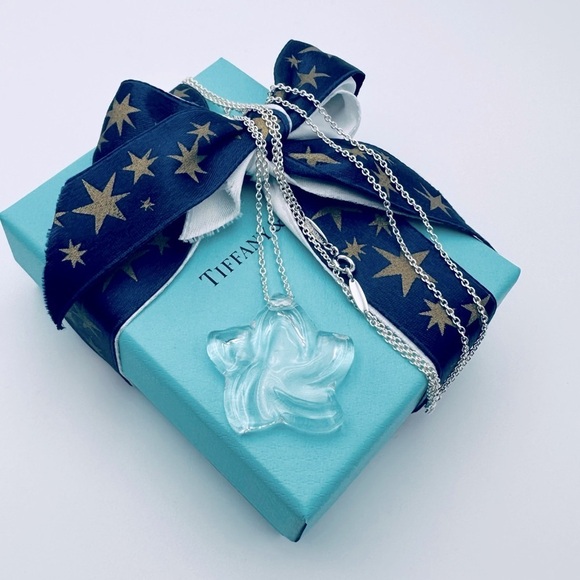 RARE Tiffany & Co. Elsa Peretti Rock Crystal Large Star 30” Silver Necklace - Picture 3 of 10